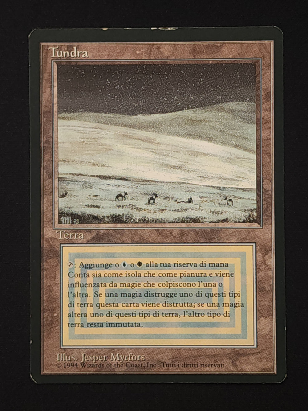 Tundra