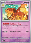 Dachsbun ' Sv Paldean Fates