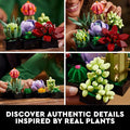 LEGO Succulents (10309)