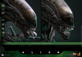 PRE-ORDER: Hot Toys Alien Big Chap Sixth Scale Figure